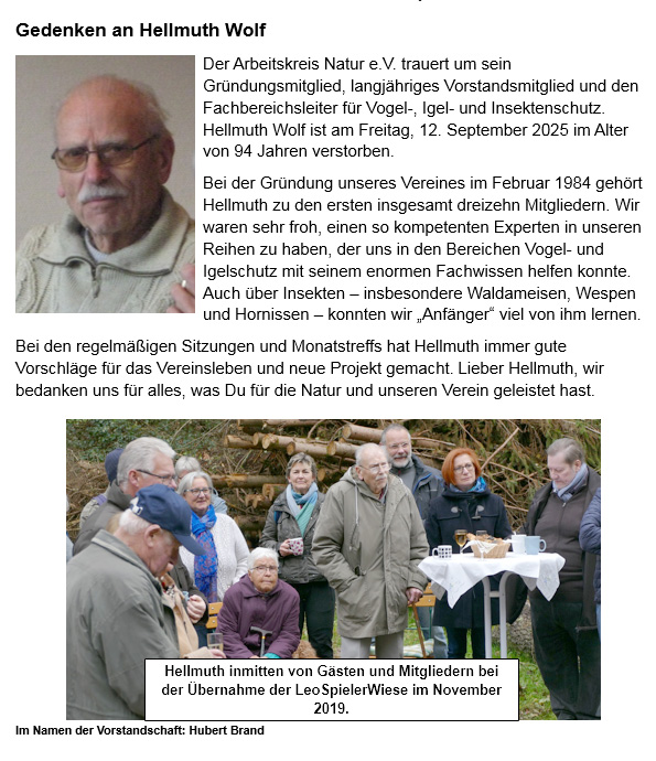 In Gedenken an Hellmuth Wolf