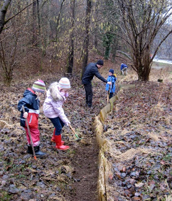 Amphibienschutz Arbeitskreis Natur Spessart