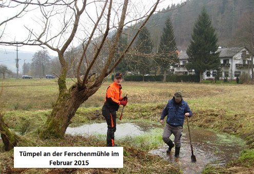 Amphibienschutz Arbeitskreis Natur Spessart