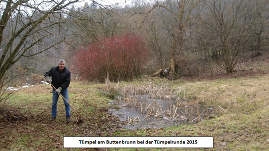 Amphibienschutz Arbeitskreis Natur Spessart