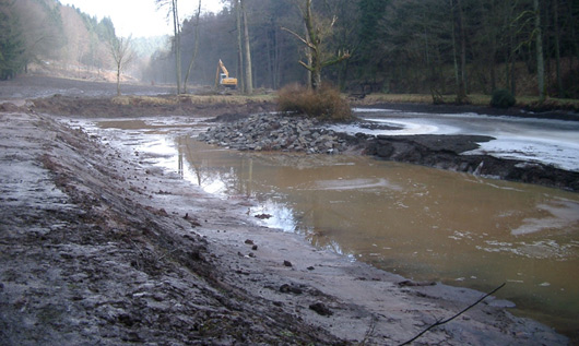 Amphibienschutz Arbeitskreis Natur Spessart