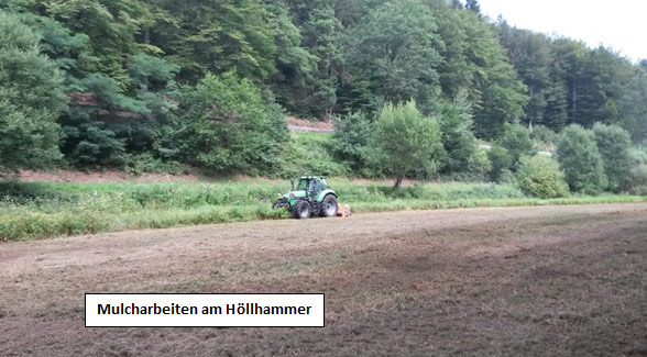 Biotop und Landschaftsschutz Arbeitskreis Natur Spessart