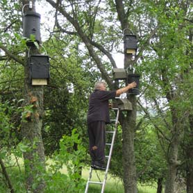 Arbeitskreis Natur