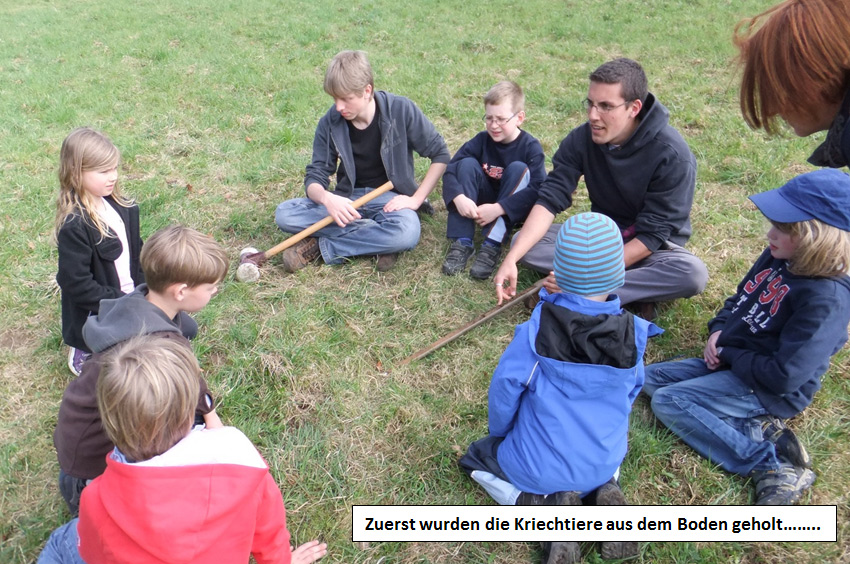 Kinder- und Jugendarbeit Arbeitskreis Natur Spessart