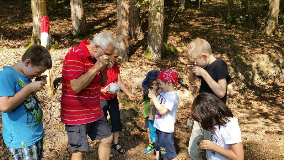 Kinder- und Jugendarbeit Arbeitskreis Natur Spessart