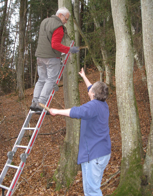 Kinder- und Jugendarbeit Arbeitskreis Natur Spessart