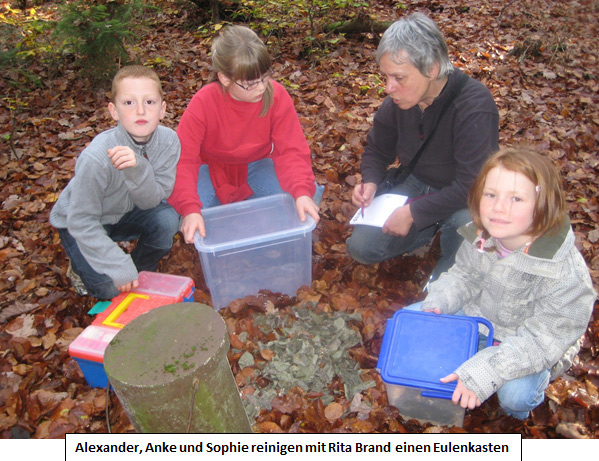 Vogel- und Fledermausschutz, Arbeitskreis Natur Spessart