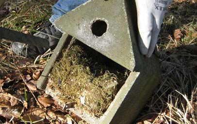 Vogel- und Fledermausschutz, Arbeitskreis Natur Spessart