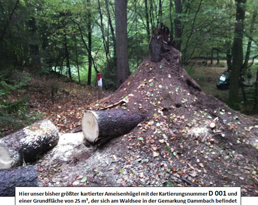 Amphibienschutz Arbeitskreis Natur Spessart